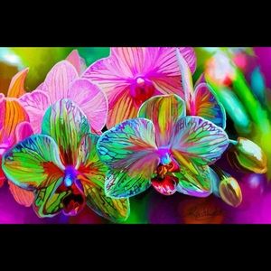 8.5x11 Signed fine art print “Stand Alone Beauty”